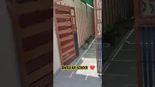 Bholu's Scholarly Endeavors Take a Pause Today 😎 | A Cherished Day  👶🏫❤️