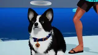 LET'S PLAY DECOUVERTE : MY LITTLE PUPPY ( PARTIE 04 )