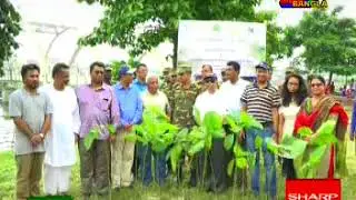 Tree Plantation of Rotary Club of Dhaka