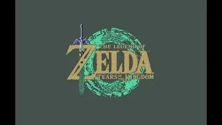 The Legend of Zelda: Tears of the Kingdom post main-quest stream Lima