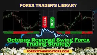 Octopus Reversal Swing Forex Trading Strategy