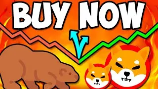 CRYPTO WINTER: SHIBA INU IS THE ONLY COIN YOU SHOULD BUY AT THAT TIME!! - EXPLAINED