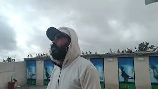 ضيعت طير زعلت عليه كتير 😰