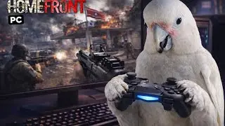 homefront the revolution pc