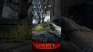 BOSS Controler ☢️ STALKER 2 #stalker2 #gaming #shorts