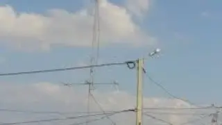 CN3A