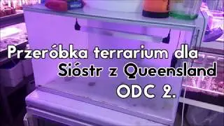 Przeróbka terrarium szklanego dla sióstr z Queensland - Odcinek 2 - Klejenie szyb
