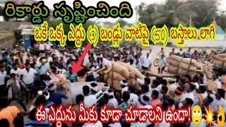 Very super'b power full Hallikar bull// 3 Bullock Cart pulling heavy load//indian farming bull's