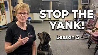 Go Straight 3 6 9 Drill | Lesson 3 - Stop Sign Approach - Coming to a Stop, - Dog at Your Side