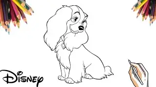 COMO DESENHAR A LADY - A DAMA E O VAGABUNDO | HOW TO DRAW THE LADY - LADY AND THE TRAMP