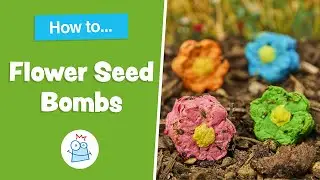 How to make Wildflower Seed Bombs | Baker Ross
