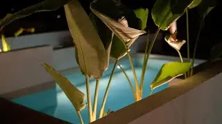 Отель Iperion Beach, город Ретимно | Рекомендации для путешественников