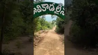 Mamanduru Waterfalls & Forest 🌿 | Entry Fees, Cottage Stay & Travel Guide | Tamil Vlog