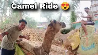First Time Camel Ride Maza Aa Gaya 😍 | Oont Ki Sawari