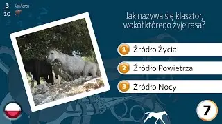 Koń Aenos, quiz o koniach, Rasy koni