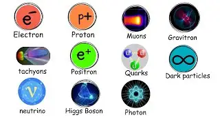 All The particles in universe explained in under 5 minutes!