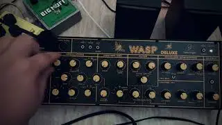 Ambient with Behringer WASP & Valeton CoralVerb II