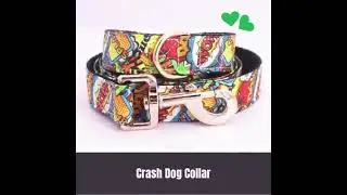 Online Pet Accessories store in the USA | Buy Pet clothes Online