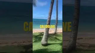 CAL&Eacute;DOLOVE 💯🎶 #newcal #newcaledonia #nouvellecal&eacute;donie #rap #newmusic