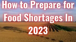 How to Prepare for Food Shortages In 2023