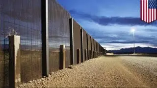 US Mexico border: Divided desert: Wildlife and Trump's wall