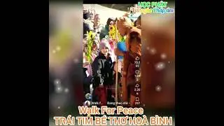 TR&Aacute;I TIM B&Eacute; THƠ HO&Agrave; B&Igrave;NH #hocphat #daophat #phatgiao #walkforpeace