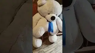 7 февраля 2026 г.