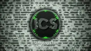 Sleeping Lion | Done Right