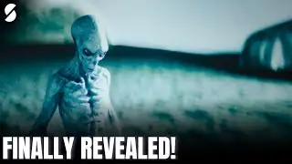 Classified Alien Species Finally Revealed | First Hand Alien Encounters