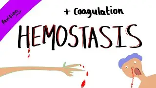 Hemostasis + coagulation cascade - How your body stops bleeding. -- ( revision)