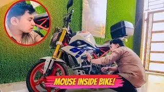  I Found a Mouse Inside My Bike😱Mouse Inside Bike!|Svm Vlogs