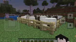 WATER BUCKET. RELEASE!! (Minecraft Part 5)