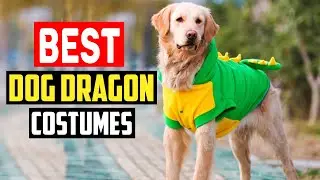 Top 5 Best Dog Dragon Costumes Review in 2025