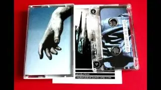 Cold Comfort - Bleached Bones