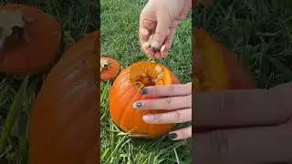Happy Halloween With Heyhae! 🎃🐈&zwj;⬛👻 #gelnailsticker #halloweennails #halloween #spookynails