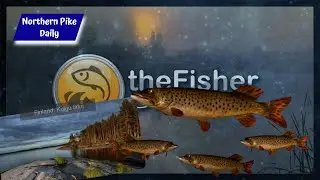 Fisher Online Finland Daily Northern Pike