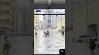 People wade through flooded streets to shop in Dubai after heavy rains hit UAE