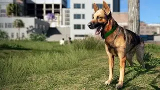 Watch Dogs 2 - German Shepard - Pet Animation & Dog Shown | Free Roam Gameplay (PC HD) [1080p60FPS]