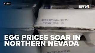 Egg prices soaring in northern Nevada amid shortage caused by avian flu