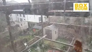 London Snow 2021