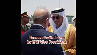 Pakistani Prime Minister Visit to UAE #shorts #viral #uae #pakistan