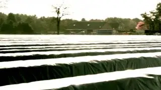 Asperges van de Santspuy