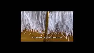 Factory supply ostrich fringe for party