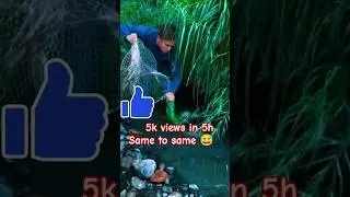 DIY Bamboo Fish Trap Works!#PrimitiveFishing #FishingTrap #SurvivalSkills