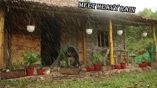 Plant flowers and ornamental plants - Ducks lay eggs - clean up the farm after the storm