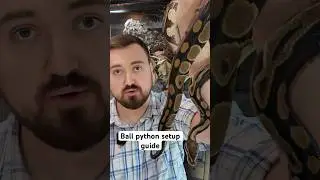 Руководство по настройке Ball Python