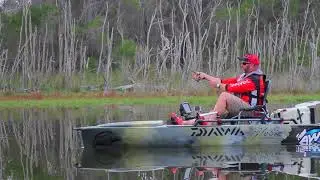 Daiwa slippery dog 65f topwater lure.