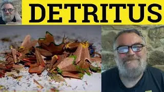 🔵 Detritus Meaning - Detritus Examples - Detritus - Vocabulary - Detritus