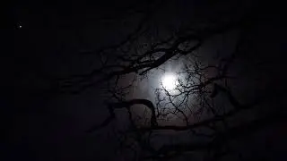 Dylan Thomas - Do not go gentle into that good night (1952)