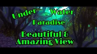 Fantastic & Amazing View / Under The Sea | Ayashane TV
